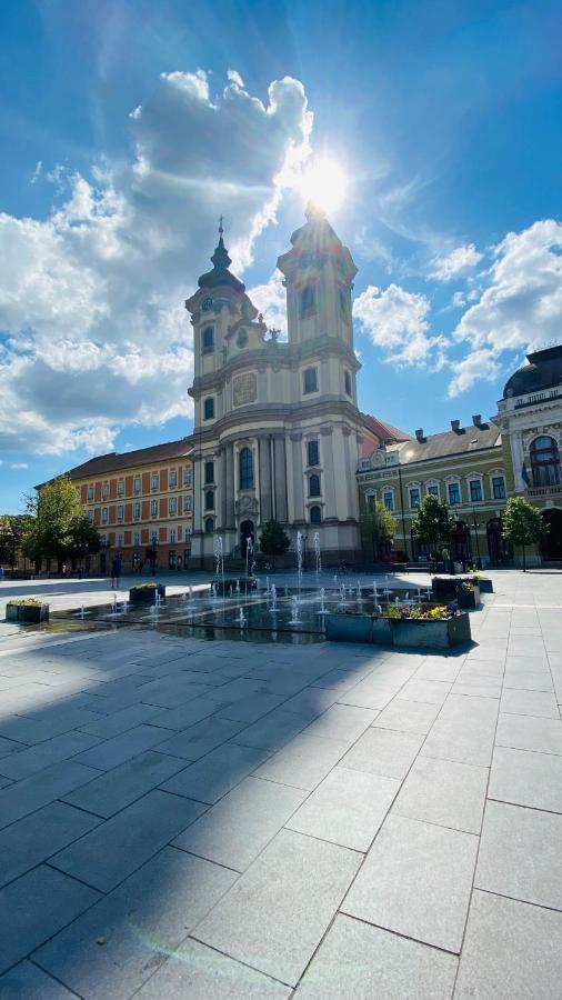 Central Home Apartment In The City Center Eger Exterior foto